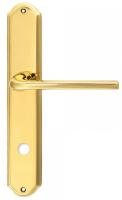 Дверная ручка Extreza "TERNI" (Терни) 320 на планке PL01 WC полированная латунь F01